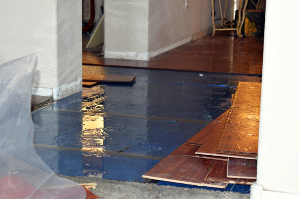 Professional Basement Water Removal technician working in Breckenridge, MI