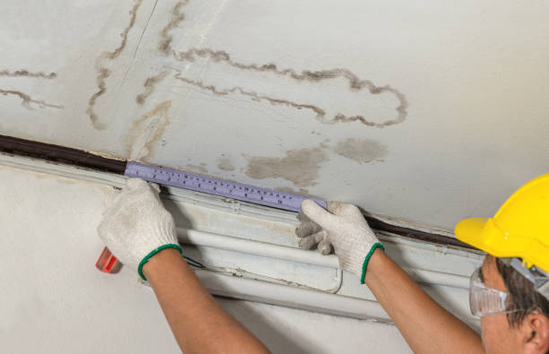 Reliable Basement Water Removal contractor in Breckenridge, MI by Water Damage Irwin